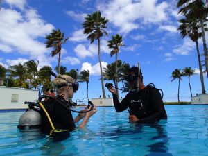 puerto rico discover diving