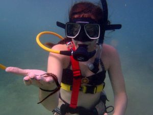 snuba diving excursion puerto rico