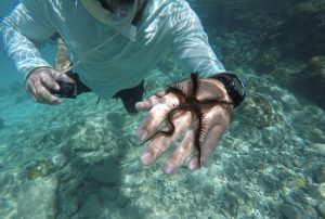 St Thomas Day Sailing and Snorkeling excursion